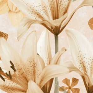 Lily